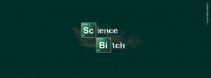 science bitch breaking bad i am the one who knocks breaking bad ...