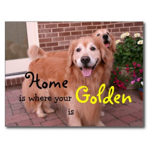 Golden Retriever Home Quote Post Cards