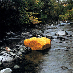 Fuentes : http://en.wikipedia.org/wiki/Andy_Goldsworthy
