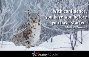 Sports Confidence Quotes With confidence, you have won