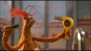 ... muppet it usually always comes back to pepe the king prawn okay