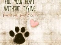 PUG FACEBOOK COVERS PUG QUOTES Pug quotes pug quotes pug quotes Pug ...