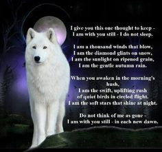Inspiration, Spirit Guide Quotes, Poems, Rainbows Bridges, White Wolf ...