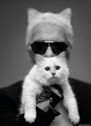 Choupette Lagerfeld: World's Classiest Cat