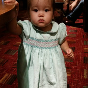 Lindy Bop 1950s Butterfly Swing Dress - Anna Nuttall