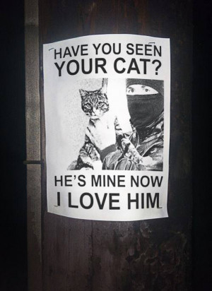 Have you seen your cat?