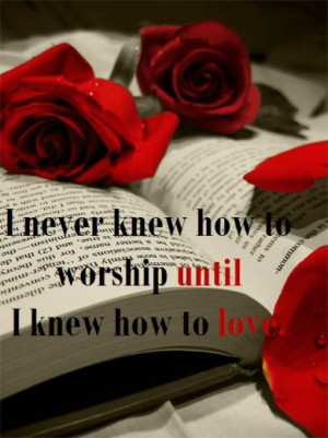 Latest Most Beautiful Red Rose Pictures with Romantic Love Quotes 2013