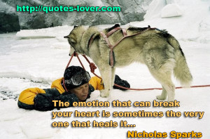 Related Pictures com love friendship and romance forum urdu shayari ...