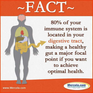 80 % of your immune system is located in your digestive tract , making ...