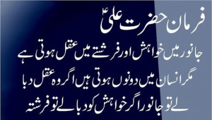 Sayings of Hazrat Ali in Urdu Screenshot 3