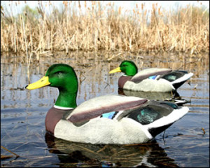 ... Honkers ... Premium Canada Goose Decoys for Demanding Hunters