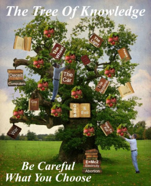 tree of knowledge, abortion, choices quotes