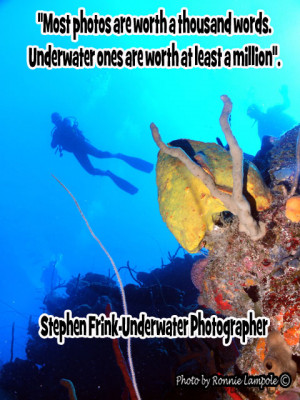 Scuba Diving Quotes And Sayings