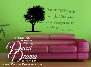 ... Whose SHaDE You do not Expect to SIT, Inspiration by Nelson Henderson