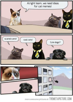 funny-grumpy-cat-scared-dog-comic