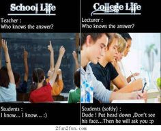 School life and college life