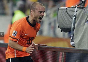 sneijder-celebrating.jpg
