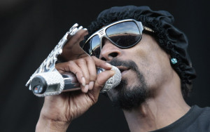 ... the monogrammed towels snoop dogg has changed his name to snoop lion