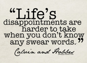 calvin-and-hobbes-quote