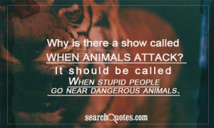 ... called-when-animals-attack-it-should-be-called-when-stupid-people-go