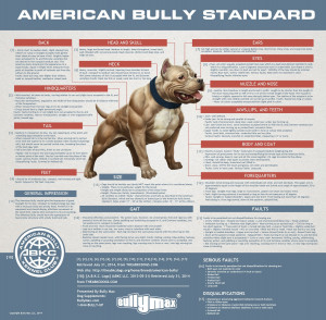 The American Bully Standard