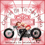 Harley Davidson Motorcycles Preview Image 2