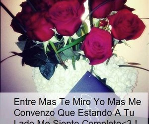 daisy claudia follow 18 days ago heart this image 63 hearts all about