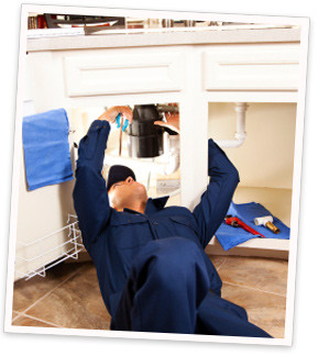 Get Free Quotes on a Garbage Disposal Repair