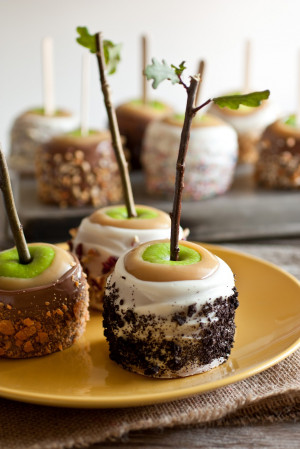 food Halloween DIY dessert fall rustic yummy yum apples candy apples