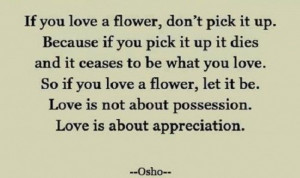 ... Appreciation, Flower Quotes, Love Is, Quotes Osho, Love Quotes, Osho