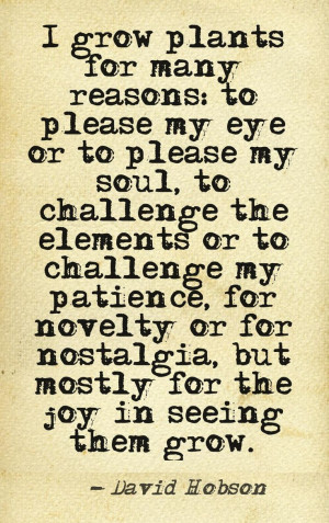 ... Growing Plants, Secret Gardens, Plants Growing, Gardens Quotes, Menu