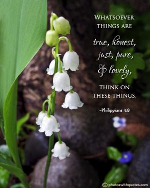 Bible Quote - Whatsoever things are true