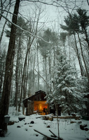 ... Cabin, Dreams, Wood, Little Cabin, Snow, Winter Camps, Places, Cabin