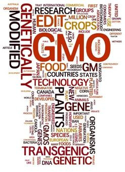 June 17, 2012: Why Genetically Engineered Food is Dangerous: New ...