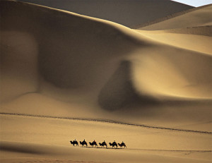 Camel Caravan Crossing Desert by phuongtrinh20890