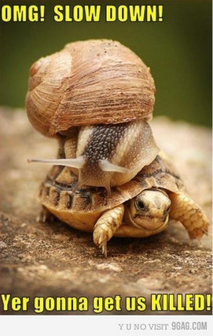 it's funny because snails are slow.