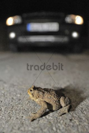 quotes about guys cheating. wallpaper quotes about oys cheating. cute ...