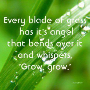 Found on quotesonimages.com