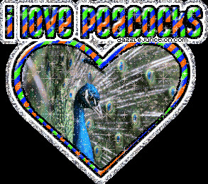 Animal Lovers I Love Peacocks quote