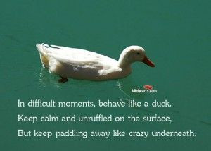 duck quote a day keeps the doctor away