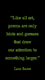 Like all art, poems are only hints and guesses that draw our attention ...