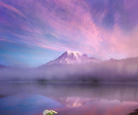 Majestic purple mountains