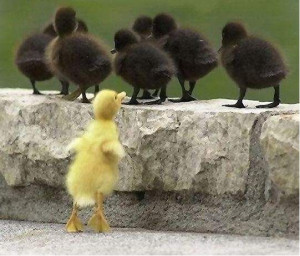 ... be different, we lose the privilege to be free.