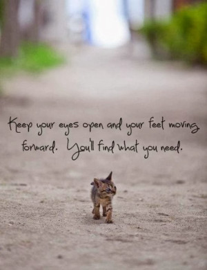 Move Forward Quotes (Move On Quotes) 0080 1