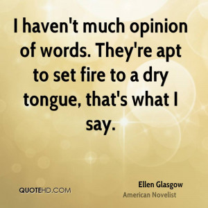 haven't much opinion of words. They're apt to set fire to a dry ...