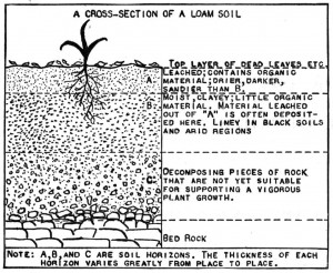 Diagram Profile Soil Layers