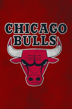 Chicago Bulls Team