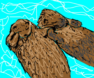 Related Pictures cute otters holding hands 8 x 10 art print