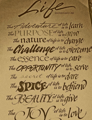 Being Pregnant Quotes Tumblr