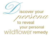 To discover your persona, click on the images below.